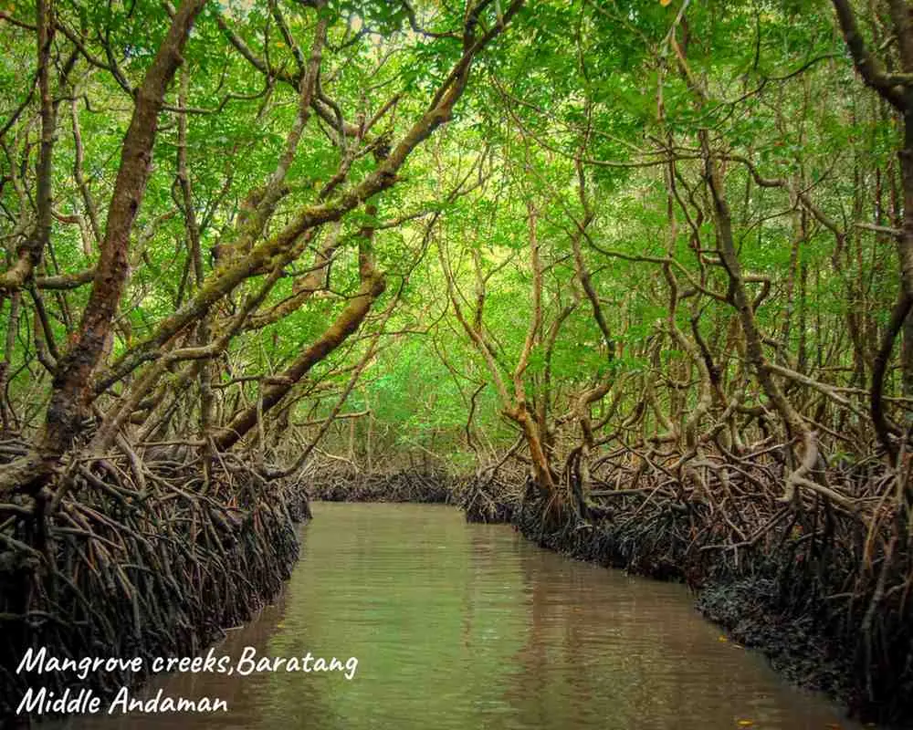 Baratang Island