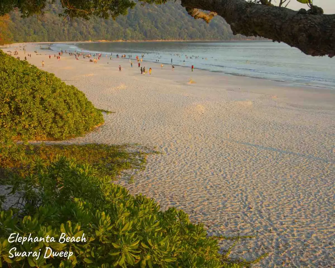 Elephant Beach